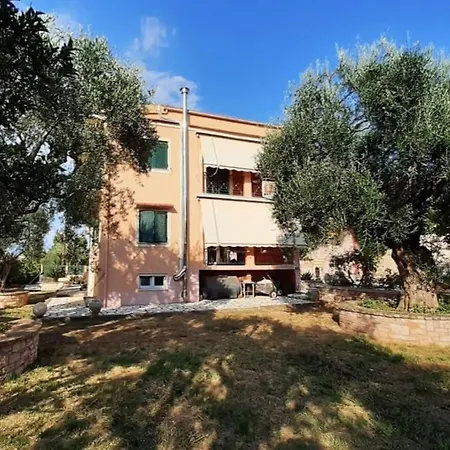 Sofia أخارافي